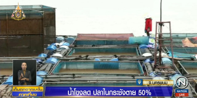 น้ำโขงลดต่อเนื่อง คนเลี้ยงปลากระชังเดือดร้อน ตายแล้วเกือบครึ่ง
