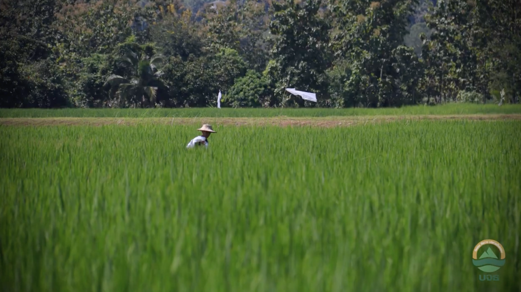 สถาบันบริหารจัดการธนาคารที่ดิน (องค์การมหาชน) จากพื้นดินและปัญญาสู่ความยั่งยืนวิถีท้องถิ่น สถาบันบริหารจัดการธนาคารที่ดิน (องค์การมหาชน) จากพื้นดินและปัญญาสู่ความยั่งยืนวิถีท้องถิ่น