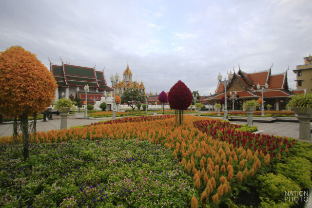 ประดับดอกไม้ บริเวณถนนราชดำเนิน