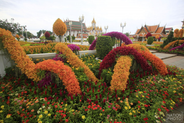 ประดับดอกไม้ บริเวณถนนราชดำเนิน