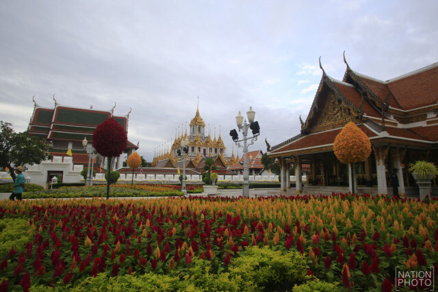 ประดับดอกไม้ บริเวณถนนราชดำเนิน