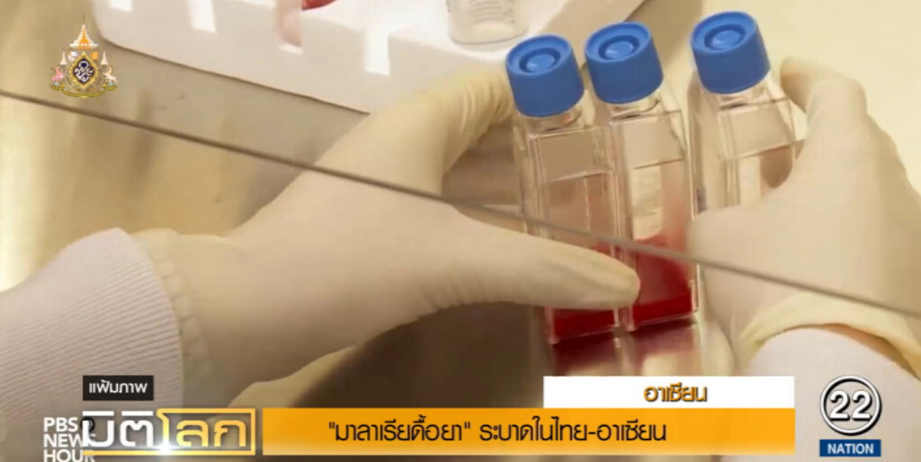 พบเชื้อมาลาเรียดื้อยาระบาดในไทยและประเทศอาเซียน