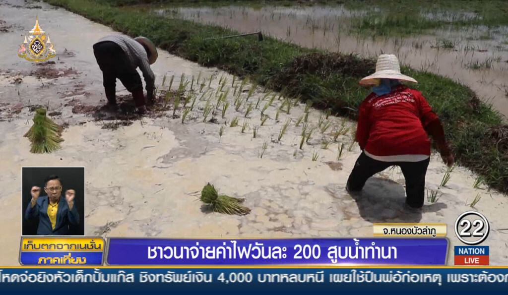 ชาวนาจ่ายค่าไฟวันละ 200 สูบน้ำทำนา