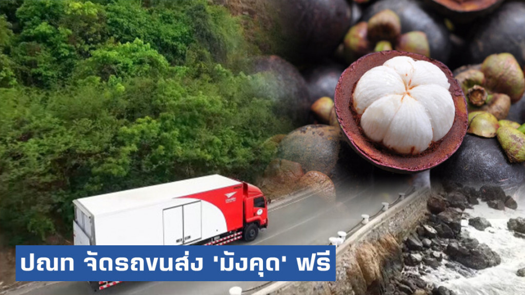 ปณท จัดรถขนส่ง'มังคุด'ฟรี ช่วยเกษตรกรเมืองนครฯ