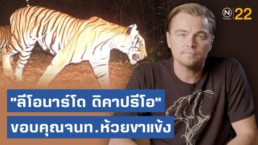 "ลีโอนาร์โด ดิคาปรีโอ"  ขอบคุณจนท.ห้วยขาแข้ง ที่พยายามจนประชากรเสือเพิ่มขึ้นถึง 60%
