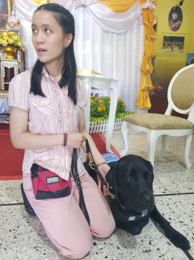 "ผู้พิการทางสายตา"หารือ กทม. ให้สุนัขนำทางเข้าพื้นที่ราชการ