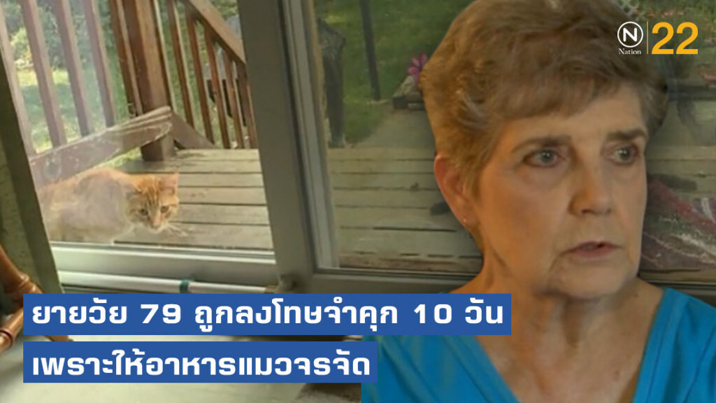ยายมะกันวัย 79 ถูกลงโทษจำคุก 10 วัน เพราะให้อาหารแมวจรจัด ยายมะกันวัย 79 ถูกลงโทษจำคุก 10 วัน เพราะให้อาหารแมวจรจัด