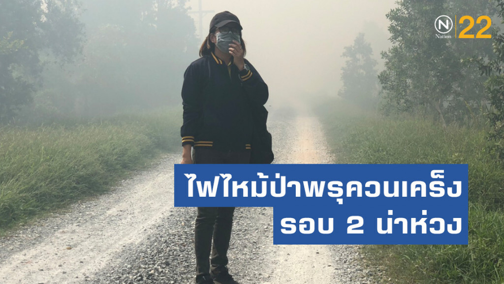 ไฟไหม้ป่าพรุควนเคร็งรอบ2น่าห่วง ไฟไหม้ป่าพรุควนเคร็งรอบ2น่าห่วง