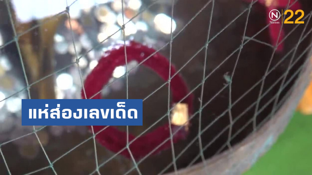 แห่ส่องเลขเด็ดในอ่างน้ำมนต์ แห่ส่องเลขเด็ดในอ่างน้ำมนต์