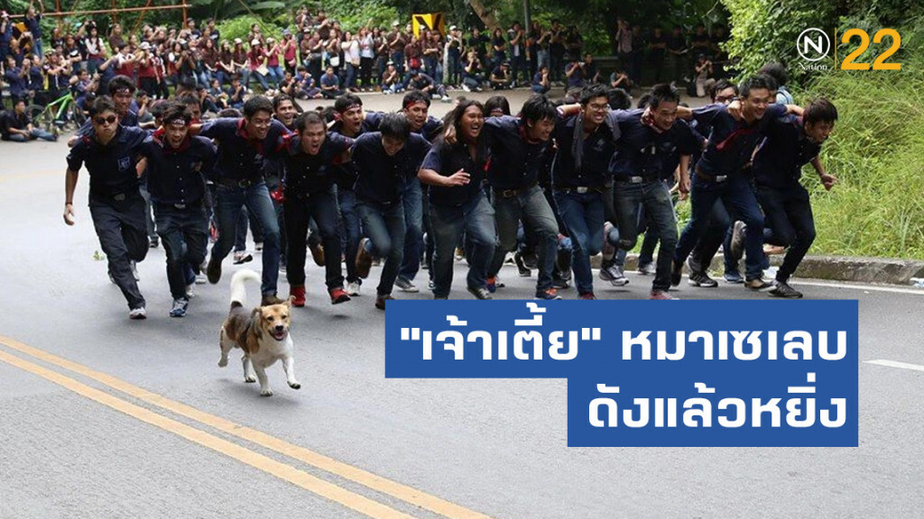 สุดฮา!! "เจ้าเตี้ย" หมาเซเลบในมช.ดังแล้วหยิ่ง