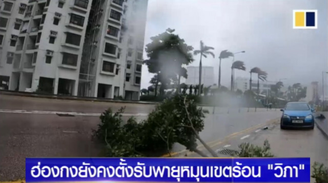 ฮ่องกงสั่งปิดโรงเรียน หลัง "วิภา" กระหน่ำ ทำฝนตกหนัก