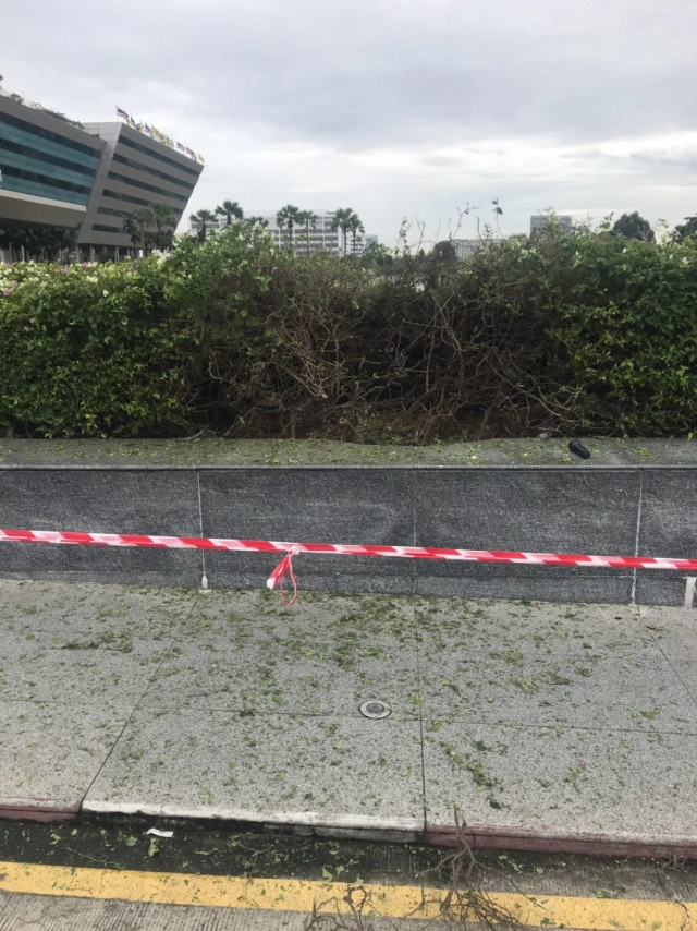 "สิระ"พร้อมมอบ "100,000"ให้ผู้ชี้เบาะแส คนชั่วลอบวางระเบิด "ศูนย์ราชการ แจ้งวัฒนะฯ"