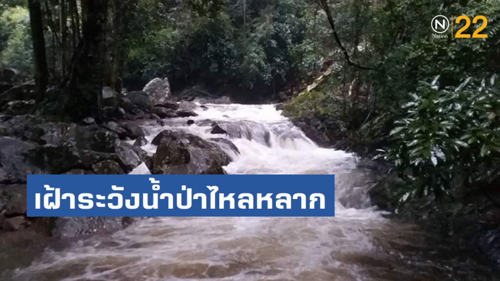 ป่าละอูฝนตกหนัก น้ำสีขุ่น จัดเจ้าหน้าที่เฝ้าระวังน้ำป่าไหลหลาก ป่าละอูฝนตกหนัก น้ำสีขุ่น จัดเจ้าหน้าที่เฝ้าระวังน้ำป่าไหลหลาก