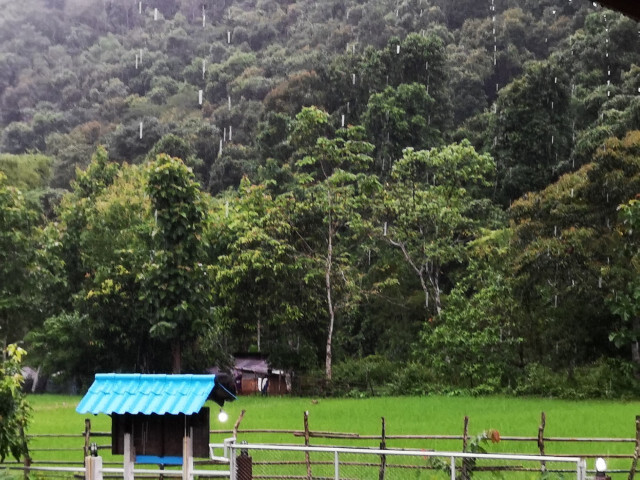 "พายุวิภา" แผลงฤทธิ์! ทำฝนตกแช่ "น่าน" ตลอดคืน