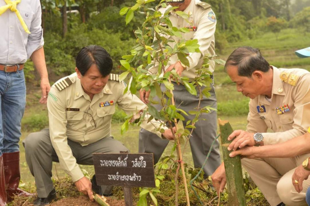 "อุทยานฯ" ดึง​ "ชาวบ้าน"​ ปลูกป่า​ เฉลิมพระ​เกียรติ​พระบรมราชชนนีพันปีหลวง