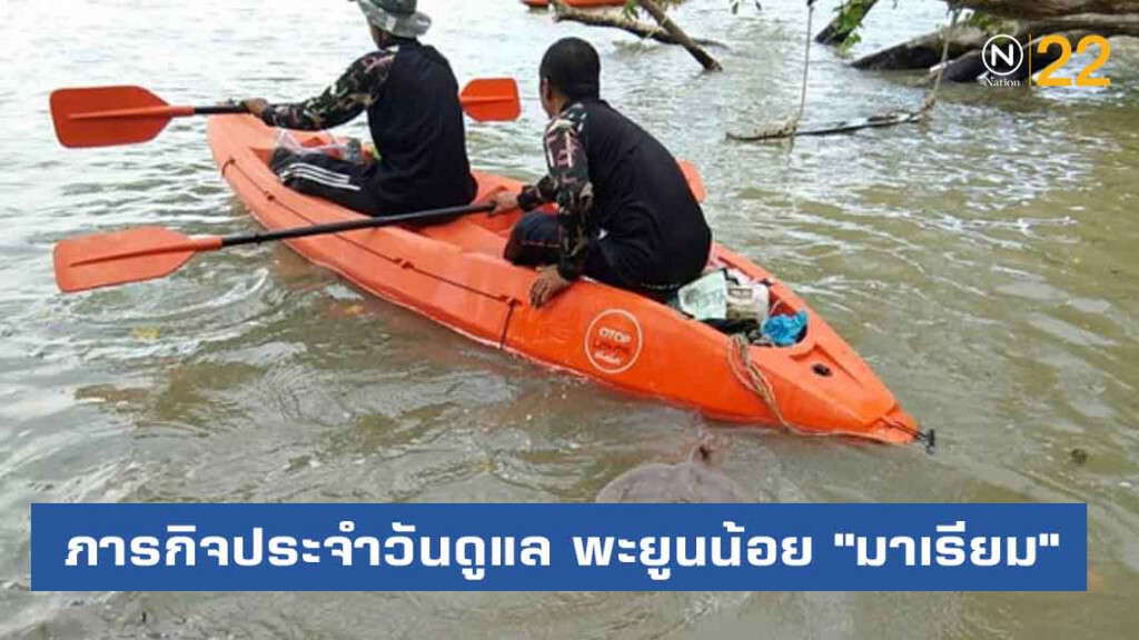 ภารกิจประจำวันดูแล พะยูนน้อย "มาเรียม" แห่งเขตห้ามล่าสัตว์ป่าหมู่เกาะลิบง