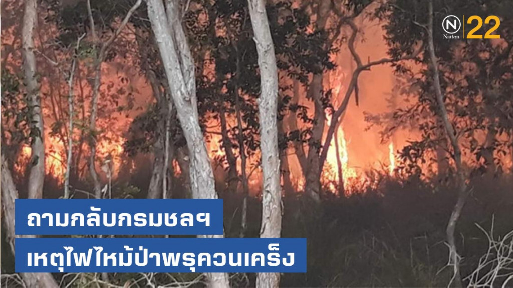 ส.ส.นครศรีธรรม ถามกลับกรมชลฯ เหตุไฟไหม้ป่าพรุควนเคร็ง ส.ส.นครศรีธรรม ถามกลับกรมชลฯ เหตุไฟไหม้ป่าพรุควนเคร็ง