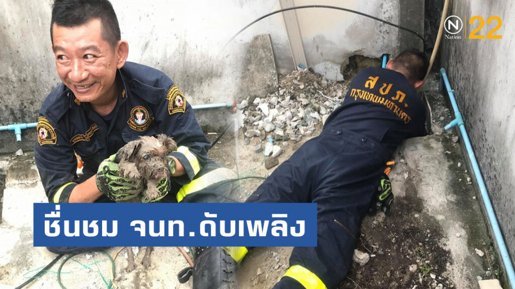 ชื่นชมเจ้าหน้าที่ดับเพลิง ช่วยสุนัขตาบอดจากท่อระบายน้ำ ชื่นชมเจ้าหน้าที่ดับเพลิง ช่วยสุนัขตาบอดจากท่อระบายน้ำ