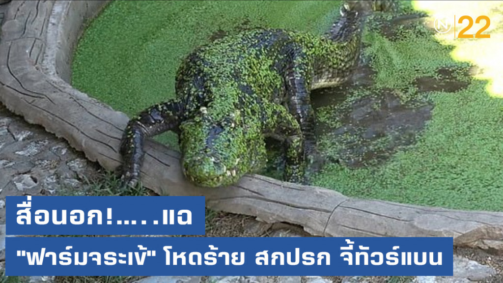 สื่อนอกแฉ!...."ฟาร์มจระเข้สมุทรปราการ" โหดร้าย สกปรก จี้ทัวร์แบน