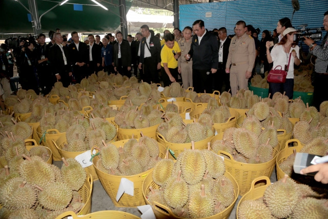 "ลุงตู่" โดนหนามทุเรียนบาดมือ