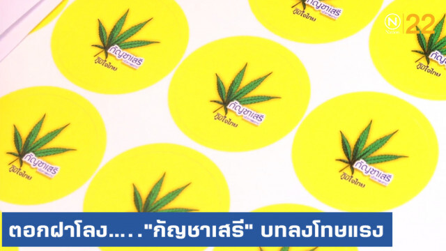 ตอกฝาโลง....."กัญชาเสรี" บทลงโทษแรง ย้ำปลูกบ้านละ 6 ต้น คนไทยป่วยทั้งประเทศ
