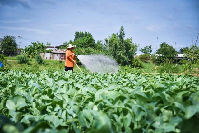ประตูระบายน้ำห้วยซัน ต่อยอดระบบชลประทานน้ำหยดด้วยพลังงานแสงอาทิตย์