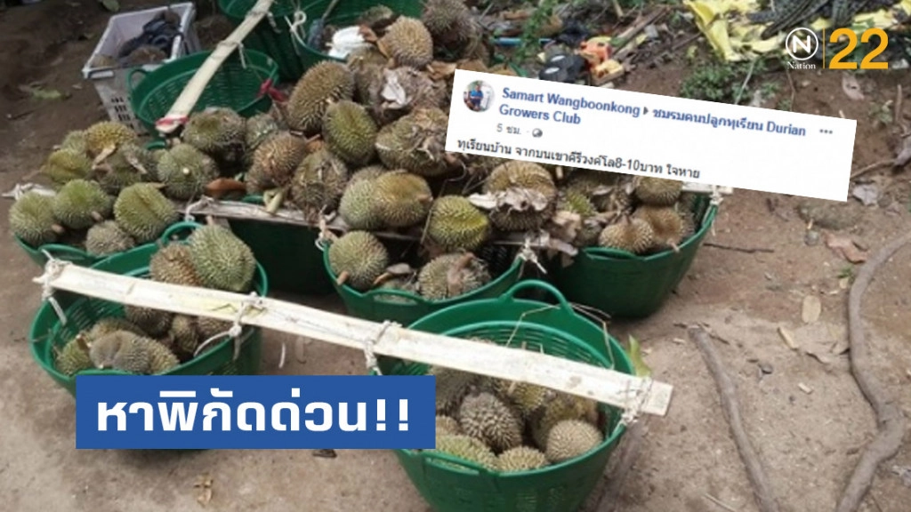 หาพิกัดด่วน!! หนุ่มโพสต์ ขายทุเรียน โลละ 8-10 บาท