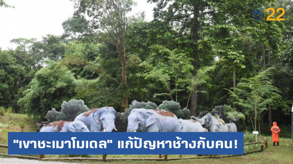 "เขาชะเมาโมเดล" แก้ปัญหาช้างกับคน! "เขาชะเมาโมเดล" แก้ปัญหาช้างกับคน!