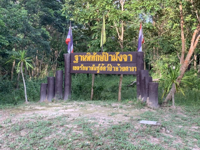 ระเบิดเขาพระ​วิหาร​ ฝีมือมอดไม้พะยูงหวังเอาชีวิตจนท.แต่พลาดโดนชาวบ้านเก็บเห็ด