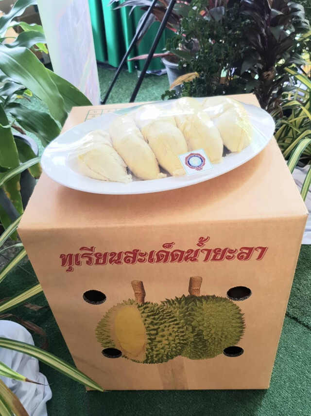 เกษตรฯ ดัน'ยะลา'เมืองทุเรียนภาคใต้