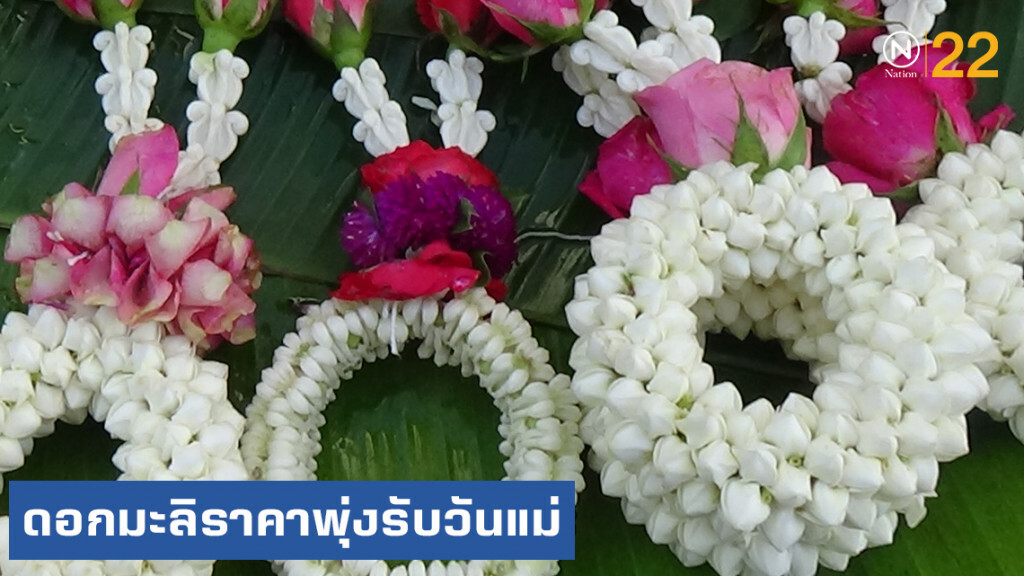 ดอกมะลิราคาพุ่งรับวันแม่ กก.ละ 300-400 บาท
