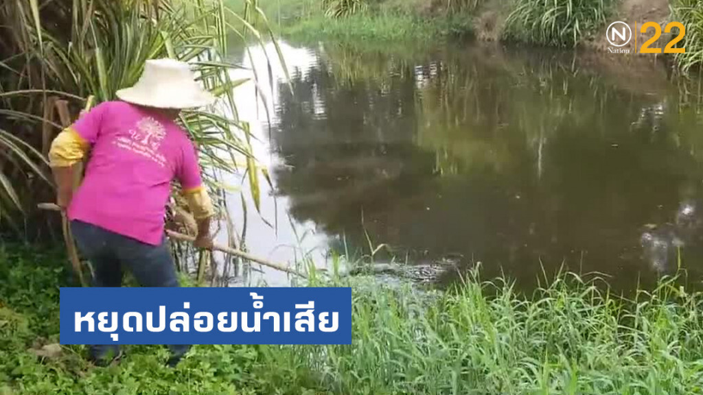 ฟาร์มหมูสระบุรีหยุดปล่อยน้ำเสีย
