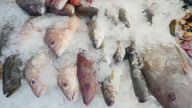 ไปภูเก็ตต้องแวะ "โกอ่าง"  ร้านอาหารซีฟู้ดระดับตำนาน เปิดบริการกว่า20 ปี