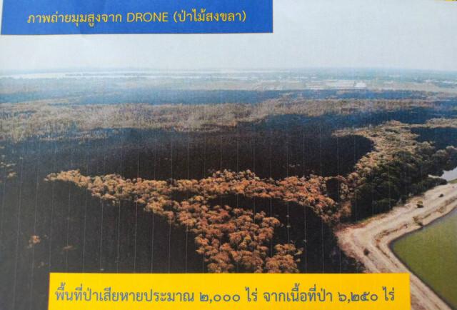 มท.2 ร่วมติดตามองคมนตรี สำรวจพื้นที่ความเสียหายป่าพรุเสม็ด