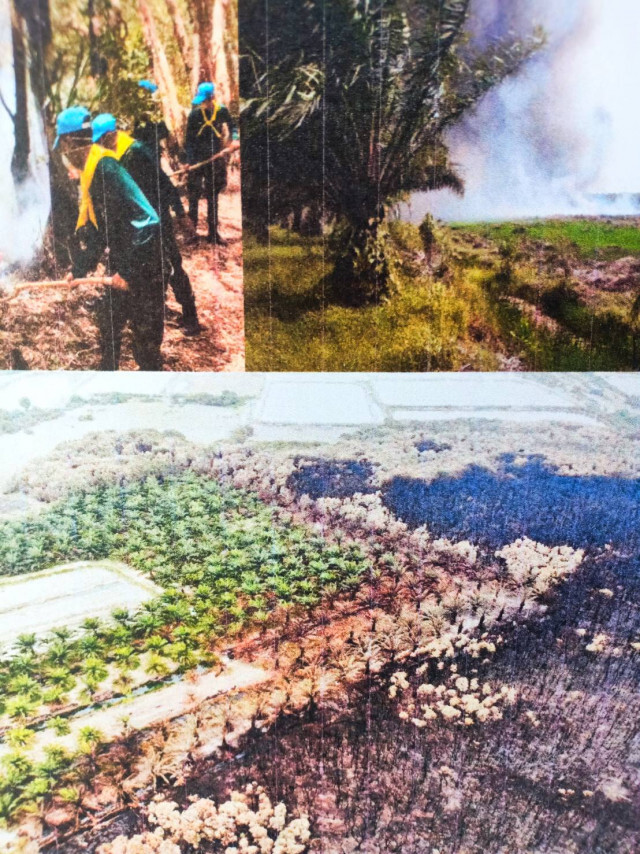 มท.2 ร่วมติดตามองคมนตรี สำรวจพื้นที่ความเสียหายป่าพรุเสม็ด