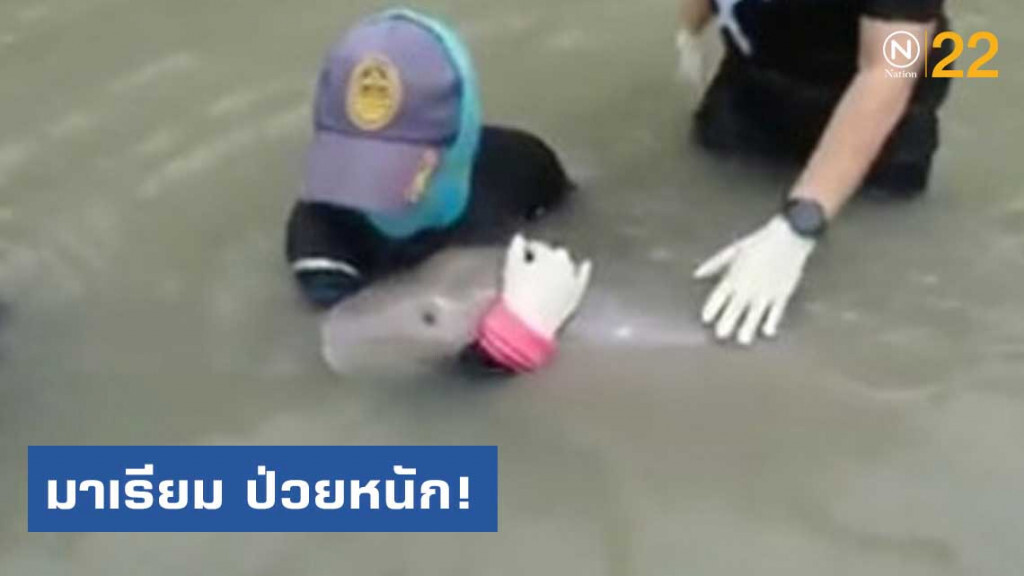 มาเรียม ป่วยหนัก! ติดเชื้อในกระแสเลือด-หายใจช้า