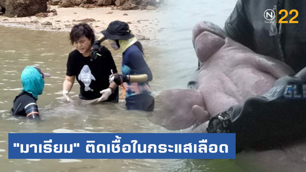 "มาเรียม" ติดเชื้อในกระแสเลือด-ปอดอักเสบ "มาเรียม" ติดเชื้อในกระแสเลือด-ปอดอักเสบ