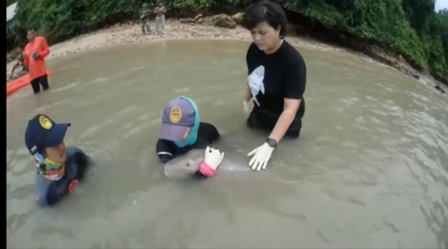 มาเรียม ป่วยหนัก! ติดเชื้อในกระแสเลือด-หายใจช้า