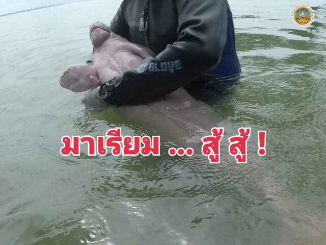 "มาเรียม" ติดเชื้อในกระแสเลือด-ปอดอักเสบ
