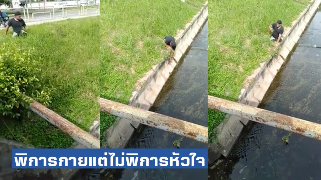 โซเชียลซึ้ง! ชายพิการโดดจากรถเข็น ช่วยแมวกำลังจะตกน้ำ โซเชียลซึ้ง! ชายพิการโดดจากรถเข็น ช่วยแมวกำลังจะตกน้ำ