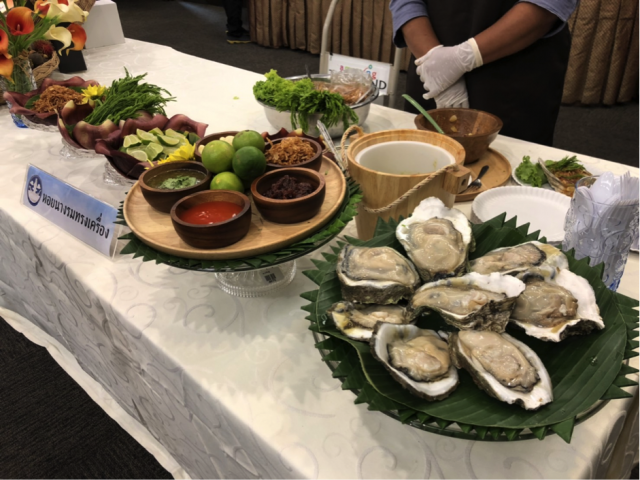 ภาครัฐร่วมกับเอกชนเกาะสมุยจัดงานเทศกาลท่องเที่ยว SAMUI FESTIVAL 2019 อย่างยิ่งใหญ่