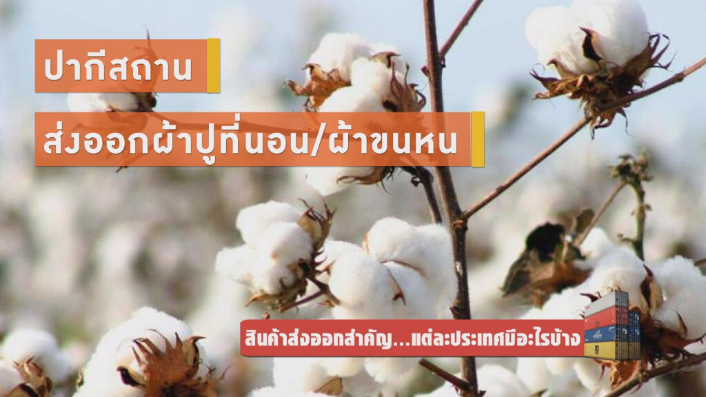 สินค้าส่งออกสำคัญ...แต่ละประเทศมีอะไรบ้าง สินค้าส่งออกสำคัญ...แต่ละประเทศมีอะไรบ้าง