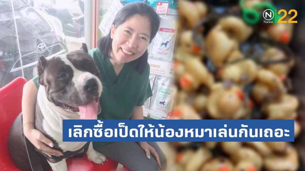แนะเลิกซื้อเป็ดให้น้องหมาเล่น หลังผ่าท้อง "พี่เดเวล" เจอตุ๊กตาเป็ด 32 ตัว