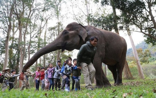 สื่อนอก ตีข่าว! "อเล็กซ์" ผู้สร้างแรงบันดาลใจให้เยาวชน อนุรักษ์สิ่งแวดล้อม