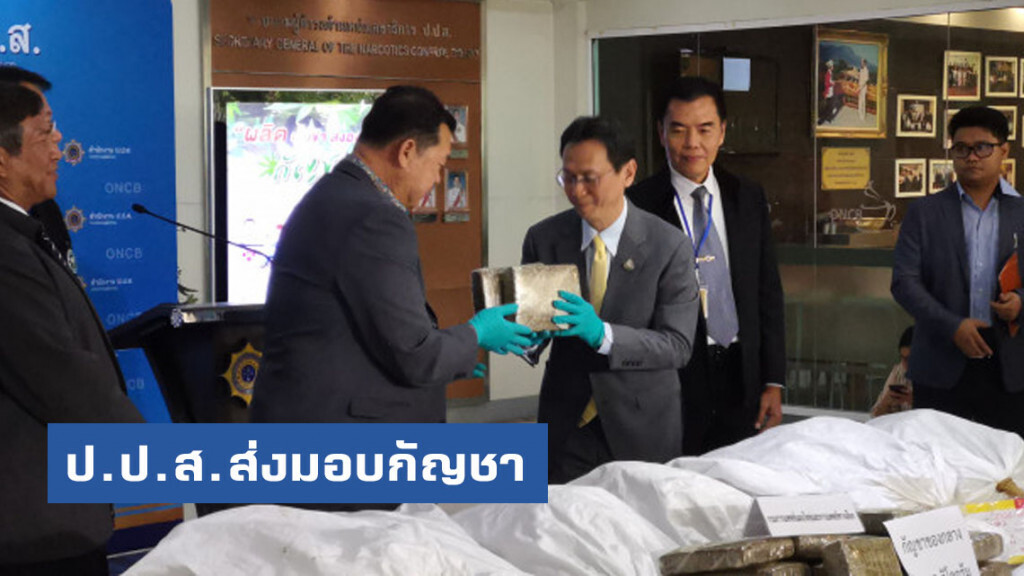 ป.ป.ส.ส่งมอบกัญชาของกลาง​กว่า 1​ ตันให้​ 2​ หน่วยงาน​ เผยยังเหลืออีกกว่า​ 30​ ตัน​