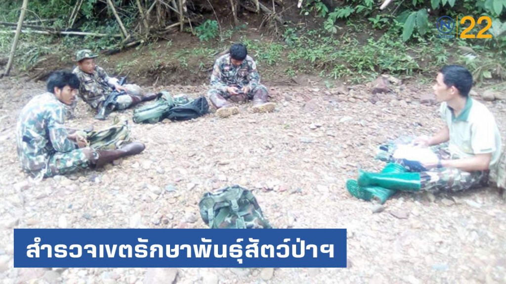 สำรวจเขตรักษาพันธุ์สัตว์ป่าแม่ยวมฝั่งขวา ป่าต้นน้ำแม่น้ำยวม