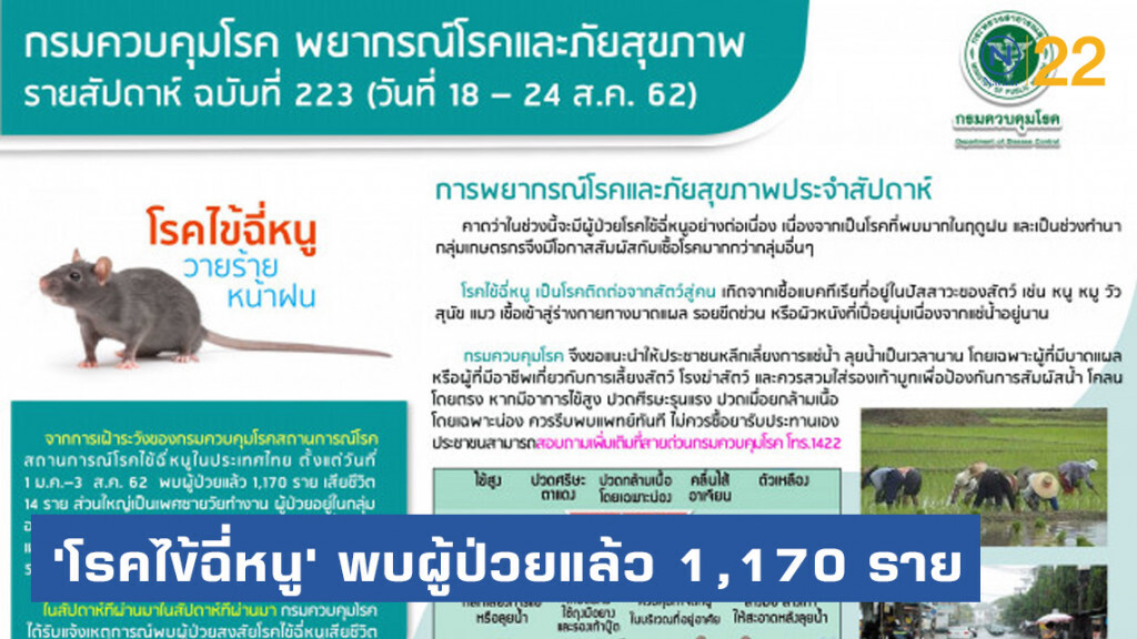 'โรคไข้ฉี่หนู' ​พบผู้ป่วยแล้ว 1,170 ราย เสียชีวิต 14 ราย
