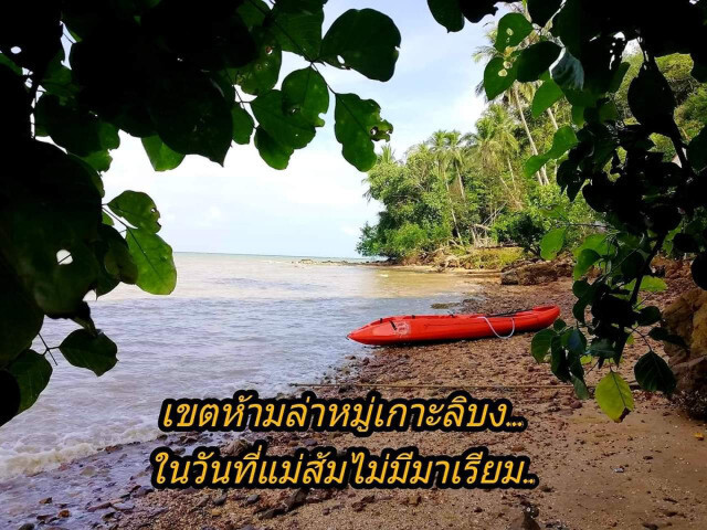 ทส.ชู​ 'มาเรียมโปรเจค'​ เตรียมจัดประชุมพะยูนโลกปีหน้า