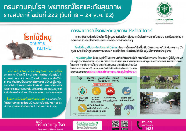 'โรคไข้ฉี่หนู' ​พบผู้ป่วยแล้ว 1,170 ราย เสียชีวิต 14 ราย