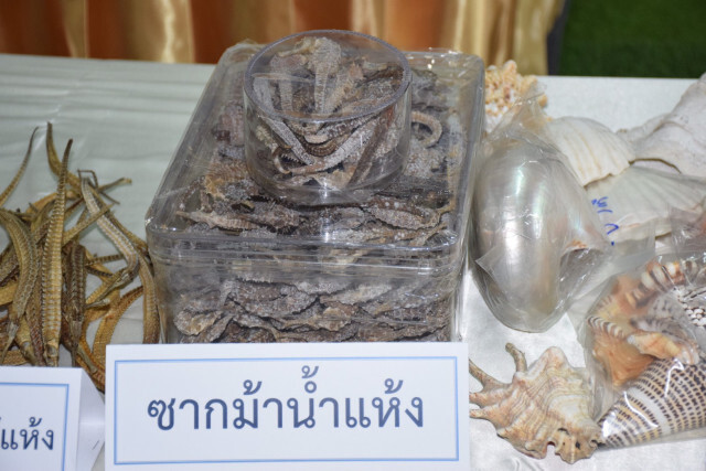 กรมประมงทำลายซากสัตว์น้ำของกลาง​ มูลค่ากว่า 5.5 ล้านบาท หลังศาลตัดสินคดีถึงที่สุด